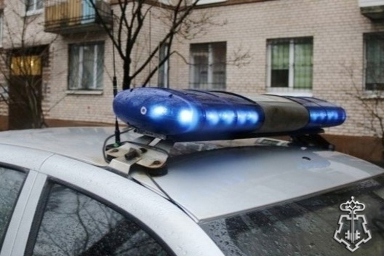 В Ломоносове наряд Росгвардии задержал рецидивиста, нанесшего ножевые ранения женщине 