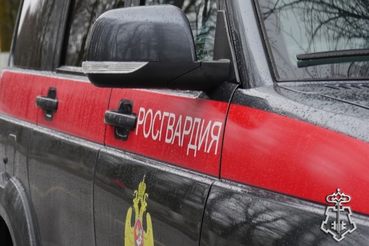 В Ленинградской области сотрудники Росгвардии задержали нетрезвого водителя, пытавшегося скрыться с места ДТП (ВИДЕО)