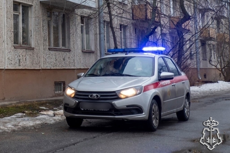 В Красносельском районе Петербурга наряд Росгвардии задержал правонарушителя, проникшего в детский магазин
