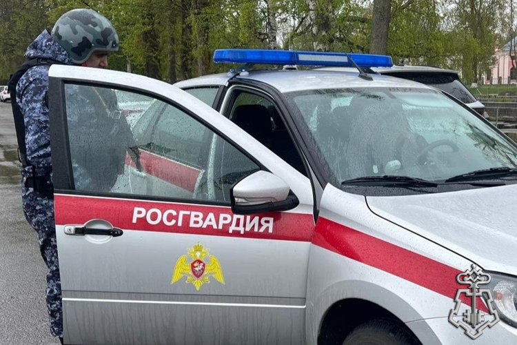 В Центральном районе Санкт-Петербурга наряд Росгвардии задержал нетрезвых дебоширов, повредивших имущество отеля