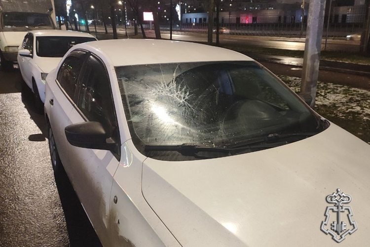 Во Фрунзенском районе Санкт-Петербурга сотрудники Росгвардии задержали хулигана, повредившего припаркованную иномарку (ВИДЕО)
