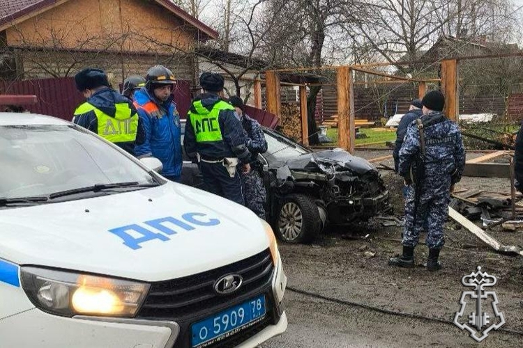 В Ленинградской области росгвардейцы пришли на помощь попавшему в ДТП водителю и вызвали на место аварии спасателей