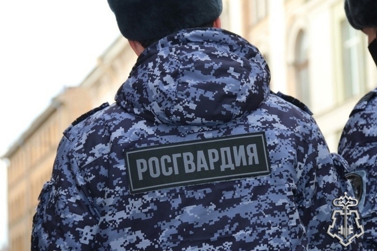 В центре Петербурга росгвардейцы задержали прохожего, повредившего несколько машин, а также двух хулиганов, выстреливших ему в голову