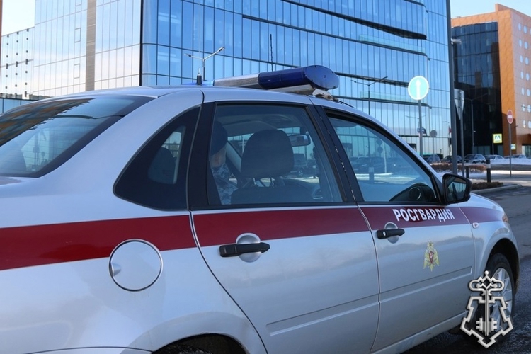 В одном из отелей Калининского района Петербурга сотрудники Росгвардии задержали правонарушителя, нанесшего побои женщине  