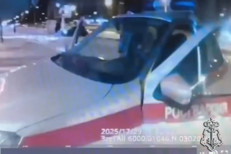 В Петербурге наряд Росгвардии задержал мужчину, напавшего на фельдшера скорой помощи (видео)