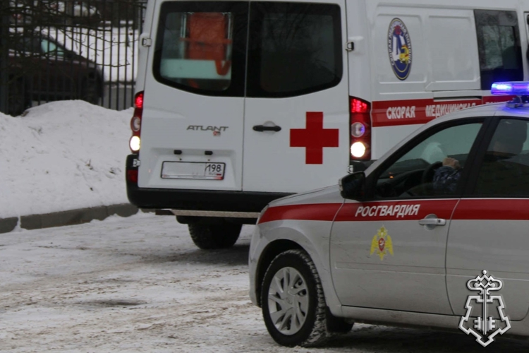 В Петербурге наряд Росгвардии задержал мужчину, напавшего на фельдшера скорой помощи (видео)