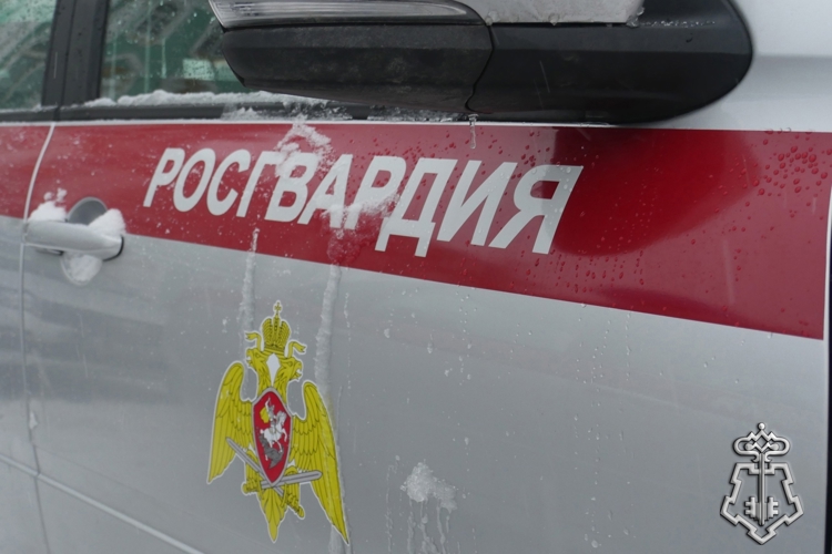 В Санкт-Петербурге сотрудники Росгвардии задержали участника драки, произошедшей во время уборки снега около гаражей