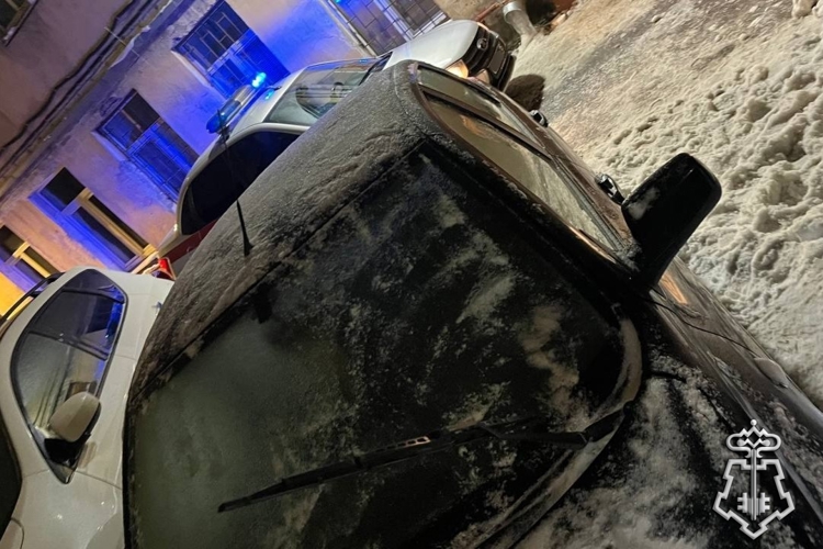 Петербургские росгвардейцы задержали правонарушителя, пытавшегося проникнуть в запертый припаркованный автомобиль
