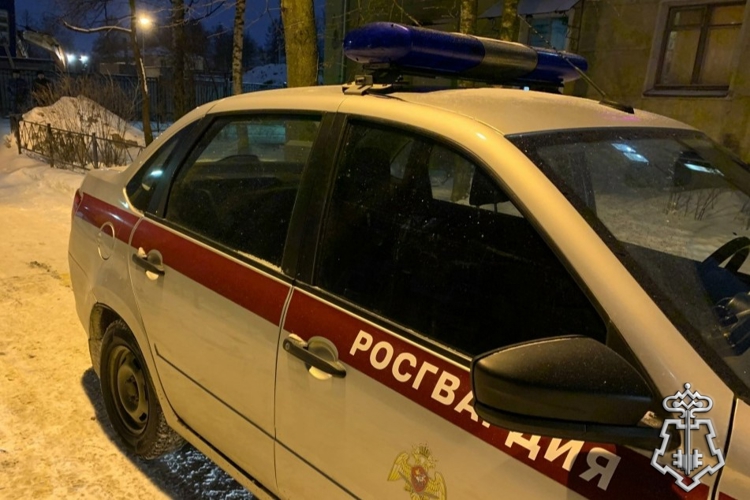 Петербургские росгвардейцы задержали правонарушителя, пытавшегося проникнуть в запертый припаркованный автомобиль