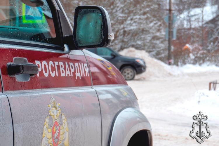 В Невском районе Санкт-Петербурга наряд Росгвардии организовал эвакуацию жильцов из дома, в котором произошел пожар