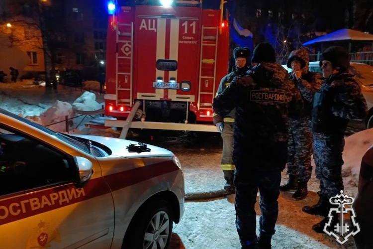В Санкт-Петербурге сотрудники Росгвардии и полиции задержали злоумышленницу, совершившую поджог пункта сбора гумпомощи