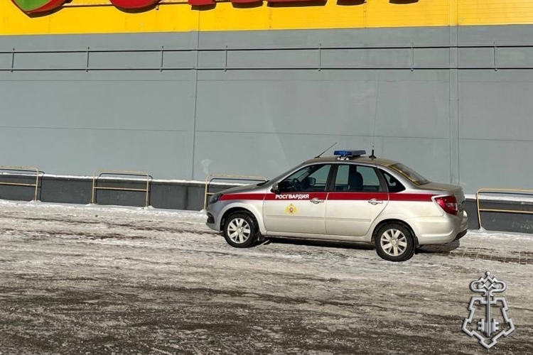 В Петербурге наряд вневедомственной охраны задержал рецидивиста, пытавшегося убежать из магазина с похищенными товарами