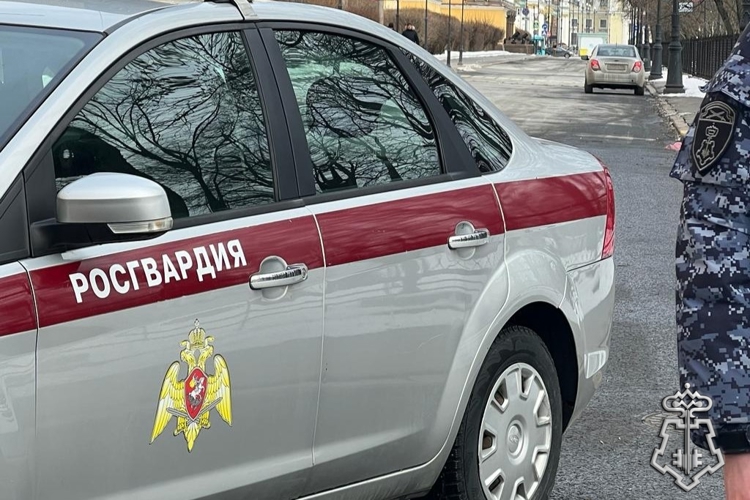 В Петербурге наряд Росгвардии задержал правонарушительницу, ударившую ножом в плечо своего молодого человека