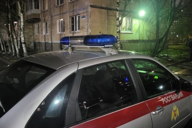Петербургские росгвардейцы на Белорусской улице задержали находившегося в розыске гражданина одного из сопредельных государст