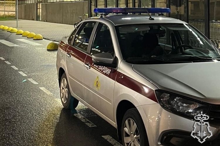 В Пушкине наряд Росгвардии задержал гражданина, имевшего при себе синтетический наркотик  
