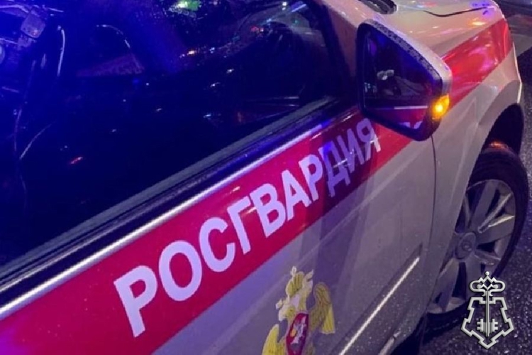 Петербургские росгвардейцы предотвратили пожар в заброшенном здании родильного дома