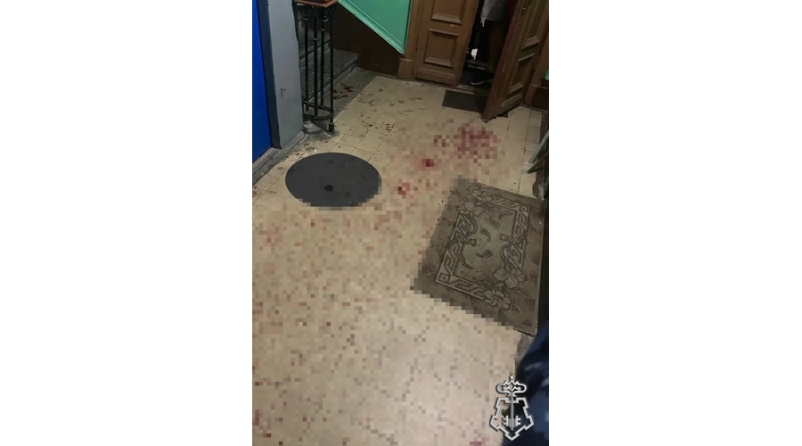 В Петербурге наряд Росгвардии задержал жительницу Красногвардейского района, ранившую знакомого ножом и отверткой
