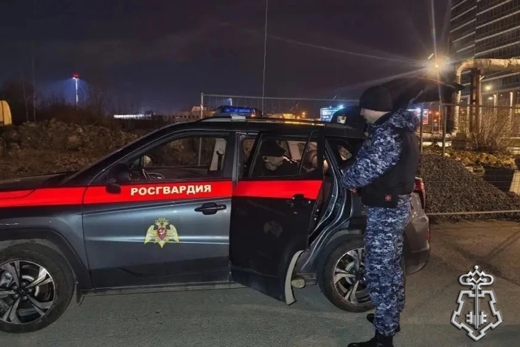 Петербургские сотрудники Росгвардии задержали правонарушителя, имевшего при себе десятки свертков с синтетическим наркотиком