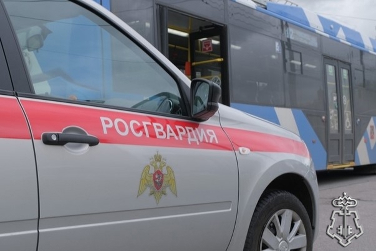 Наряд Росгвардии задержал зацеперов, катавшихся на троллейбусе в Приморском районе Санкт-Петербурга