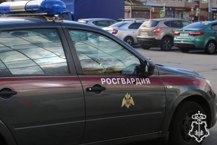 Петербургские росгвардейцы задержали нетрезвого хулигана, бросавшего цветочные емкости из окна жилого дома