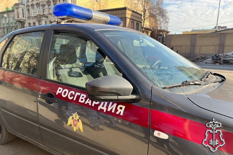 В Центральном районе Санкт-Петербурга сотрудники Росгвардии задержали участника уличного конфликта