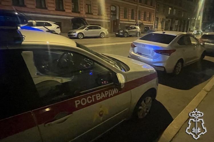 В центре Петербурга росгвардейцы обнаружили разыскиваемый автомобиль и задержали водителя, подозреваемого в мошенничестве