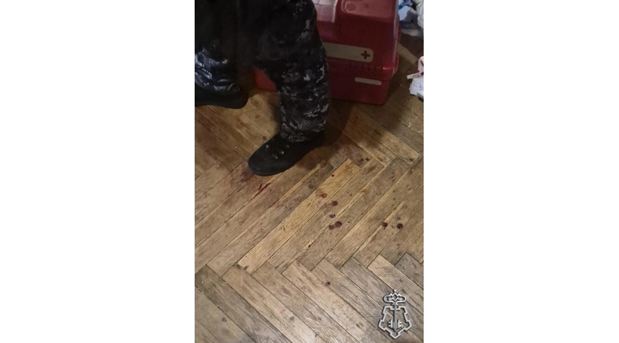 В Петербурге наряд Росгвардии задержал жительницу коммунальной квартиры, ударившую ножом мужчину в ходе бытового конфликта