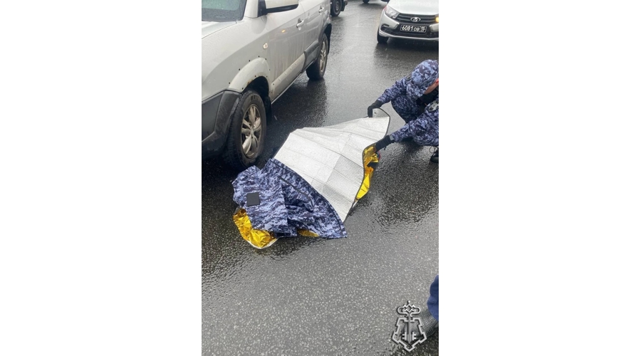 В Петербурге сотрудники Росгвардии оказали доврачебную помощь несовершеннолетней, пострадавшей в результате ДТП