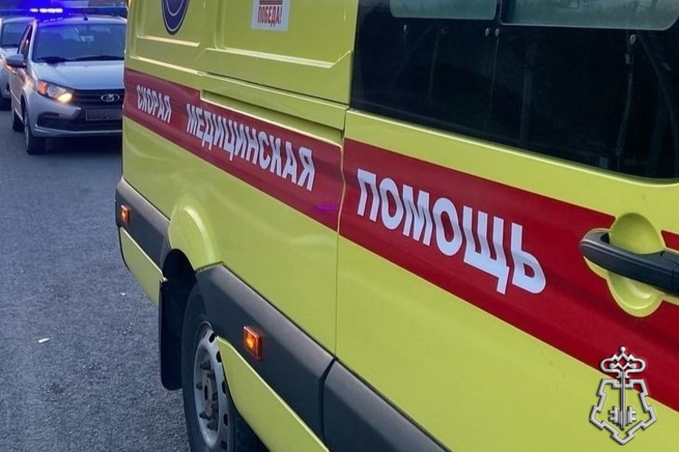 В Санкт-Петербурге сотрудники Росгвардии задержали агрессивного гражданина, пытавшегося ворваться в машину скорой помощи
