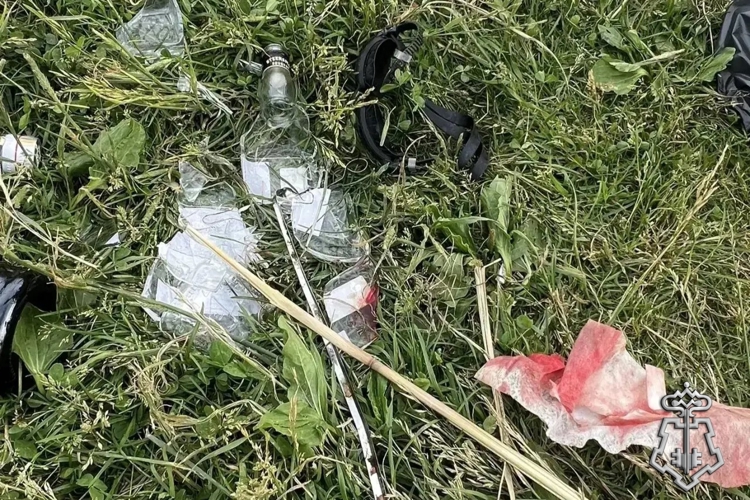  Петербургские росгвардейцы задержали участника драки, подозреваемого в нанесении ранения мужчине в одном из городских парков