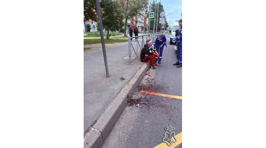 В Петербурге сотрудники Росгвардии задержали участников конфликта, во время которого мужчина получил резаную рану головы