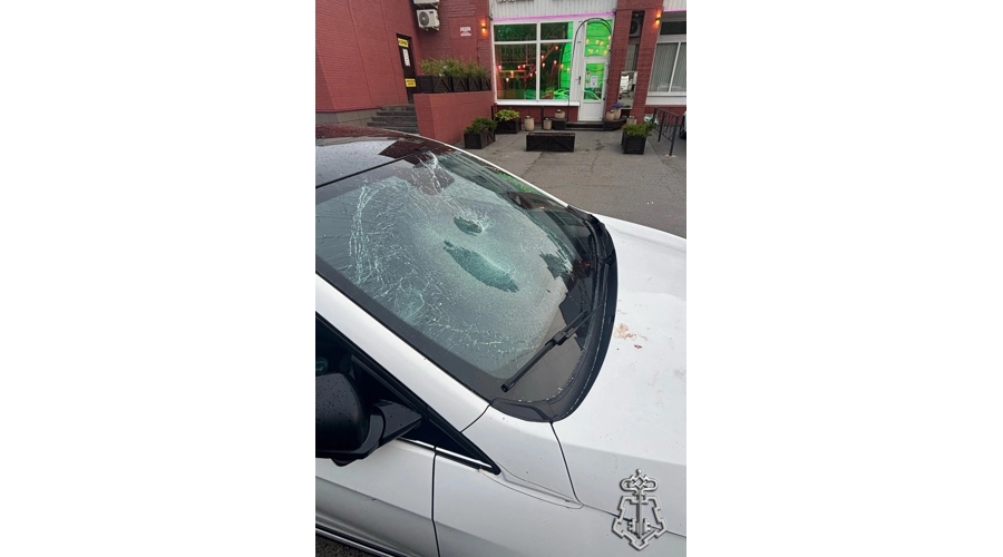 В Санкт-Петербурге сотрудники Росгвардии задержали хулигана, прыгавшего на лобовом стекле автомобиля такси  