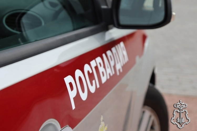 В Ленинградской области сотрудники Росгвардии вернули матери малолетнего сына, ушедшего с детской площадки в соседний двор