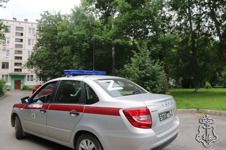 В Санкт-Петербурге наряд Росгвардии задержал вооруженного ножом правонарушителя, напавшего на мужчину около алкомаркета