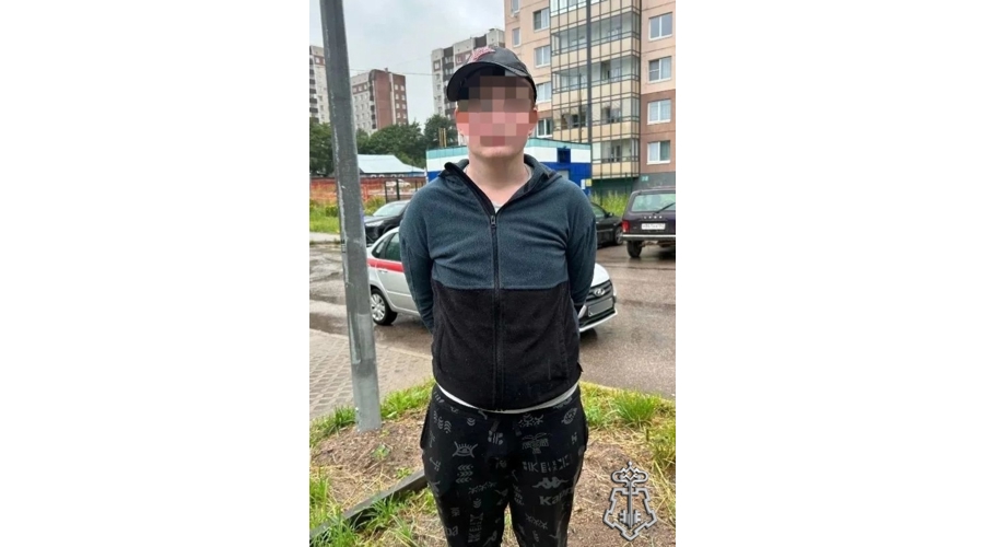 В Ленинградской области сотрудники Росгвардии оперативно задержали подростка, совершившего поджог АЗС самообслуживания