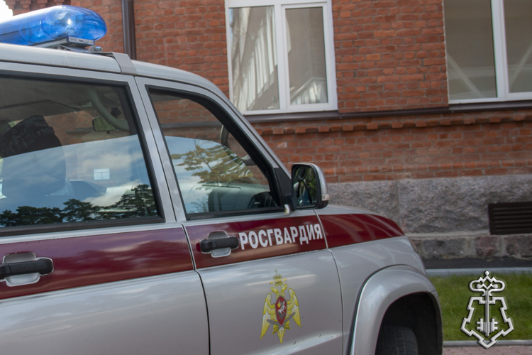 В поселке Рощино сотрудники Росгвардии задержали правонарушителя, избившего двух женщин 