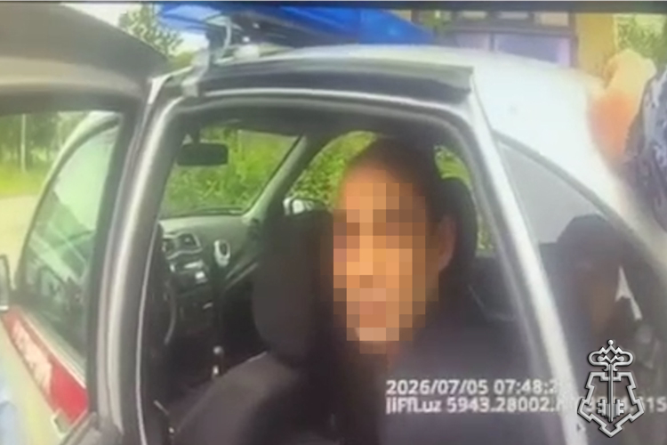 В Пушкинском районе Санкт-Петербурга сотрудники Росгвардии задержали посетителя ночного клуба, устроившего драку