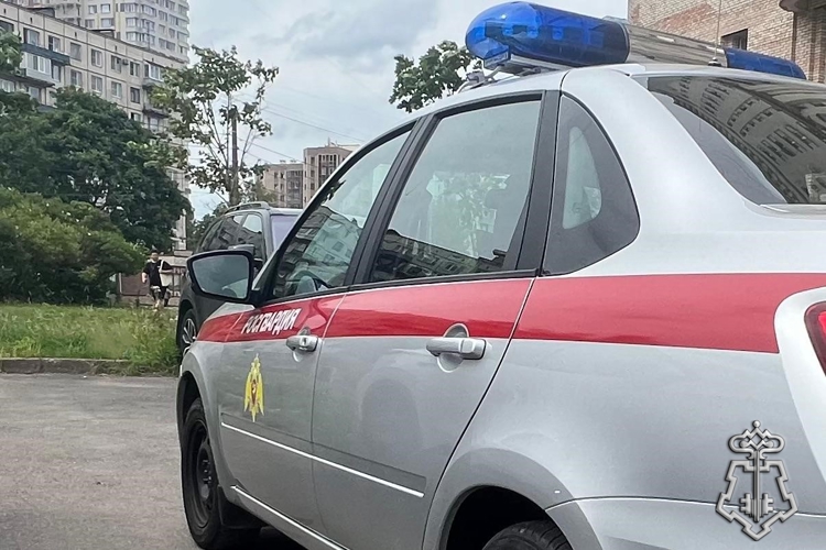 В Санкт-Петербурге наряд Росгвардии задержал нетрезвого хулигана, бившего ногами по припаркованным во дворе автомобилям