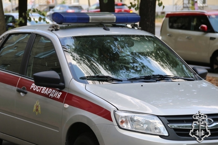 Наряд Росгвардии задержал вооруженного топором гражданина, угрожавшего расправой двум жительницам Фрунзенского района Петербурга