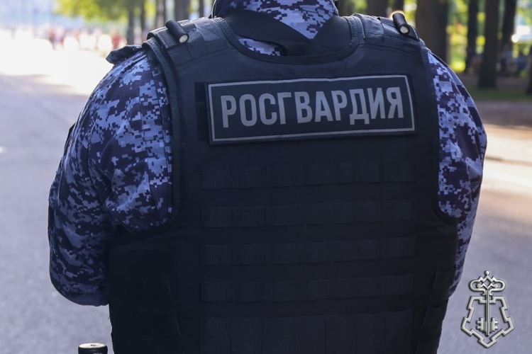 В Ленинградской области сотрудники Росгвардии задержали хулигана, проникшего на территорию дворца в Приоратском парке
