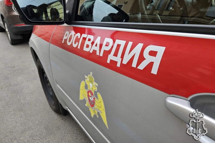 Петербургские росгвардейцы задержали вора и помогли вернуть похищенный велосипед законной владелице