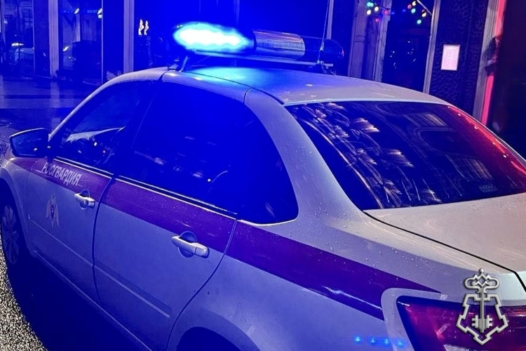 В Санкт-Петербурге наряд Росгвардии задержал нетрезвого водителя, скрывшегося с места ДТП в Выборгском районе города