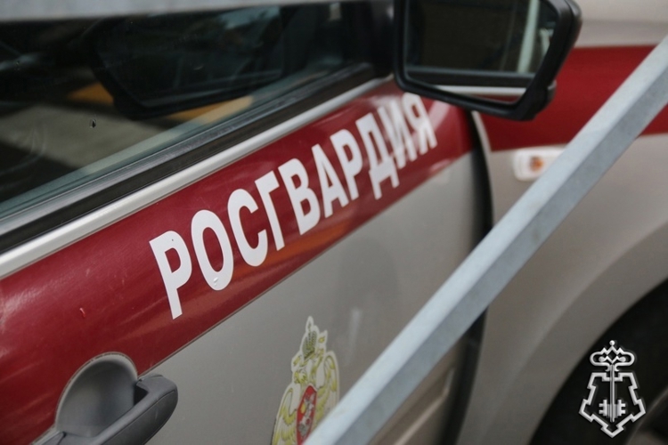 В Санкт-Петербурге росгвардейцы задержали правонарушителя, пытавшегося убежать из магазина после неудавшейся кражи товара