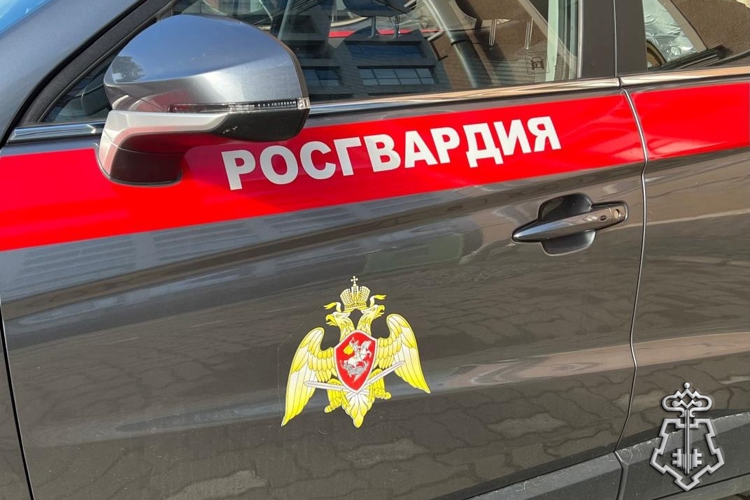 В городе Колпино росгвардейцы задержали вандала, рисовавшего на модуле остановки общественного транспорт