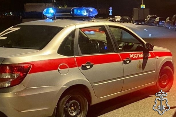 В Ленинградской области сотрудники Росгвардии задержали правонарушителей, ночью напавших на водителя такси