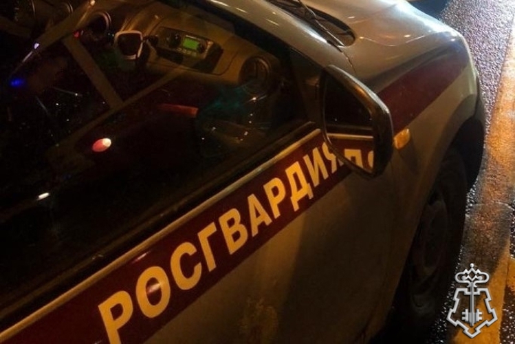 В Санкт-Петербурге сотрудники Росгвардии задержали правонарушителей, похитивших канистру с топливом, чтобы поджечь бар