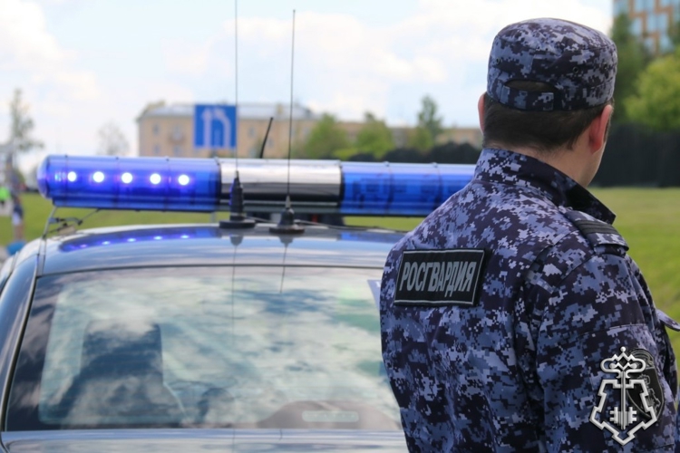 Петербургские росгвардейцы обнаружили объявленный в розыск автомобиль, ранее использовавшийся при совершении кражи в Ленобласти
