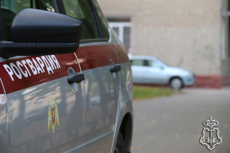 В Петербурге наряд Росгвардии задержал правонарушителя, угрожавшего 17-летнему подростку «травматом»