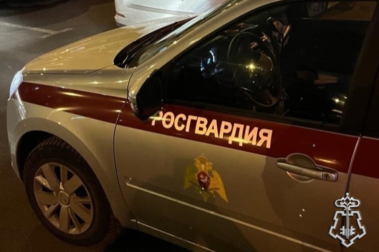Петербургские росгвардейцы задержали участника конфликта в баре, подозреваемого в стрельбе из травматического пистолета