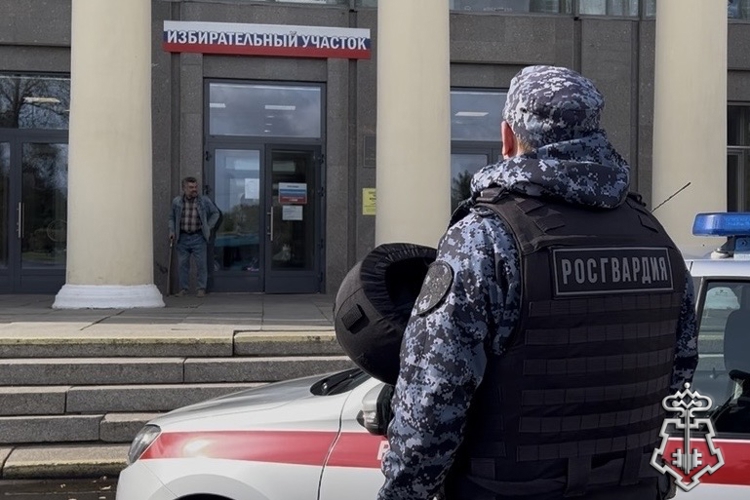 В Колпинском районе Петербурга росгвардейцы задержали двух нетрезвых нарушителей общественного порядка в период проведения Единого дня голосования